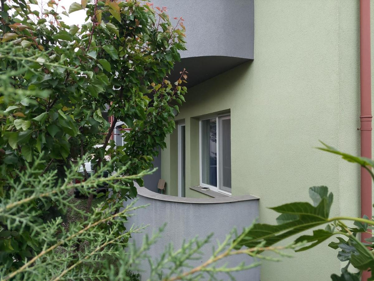 Mateski Guest House 오흐리드 외부 사진