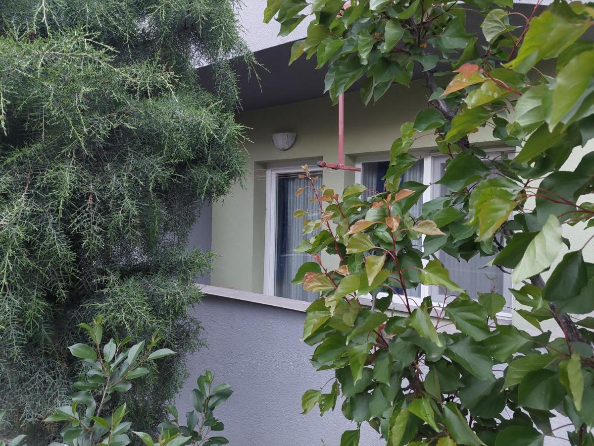 Mateski Guest House 오흐리드 외부 사진